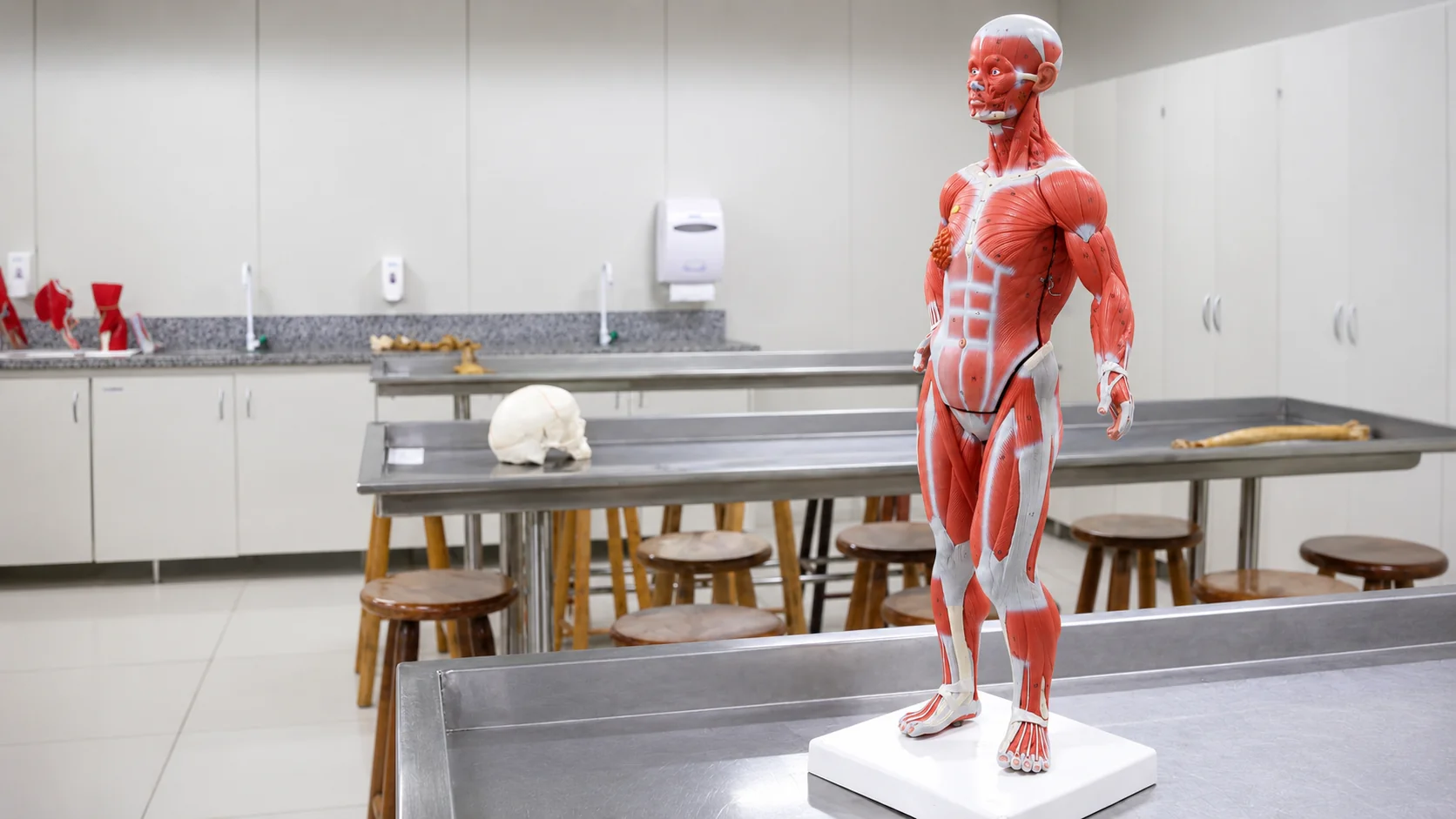 Laboratório de Anatomia da unidade Vila Prudente