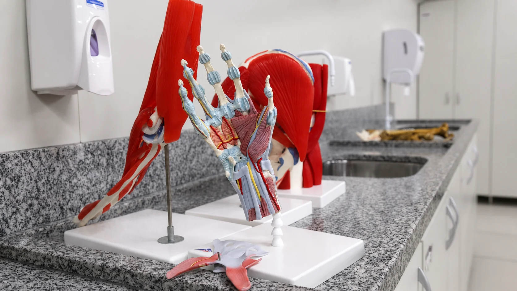 Laboratório de Anatomia da unidade Vila Prudente